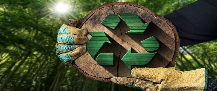 Dia do Reciclador e da Reciclagem de Lixo – Caçambas Ecológicas contribuem para o fim sustentável de resíduos nas obras da PATRIANI